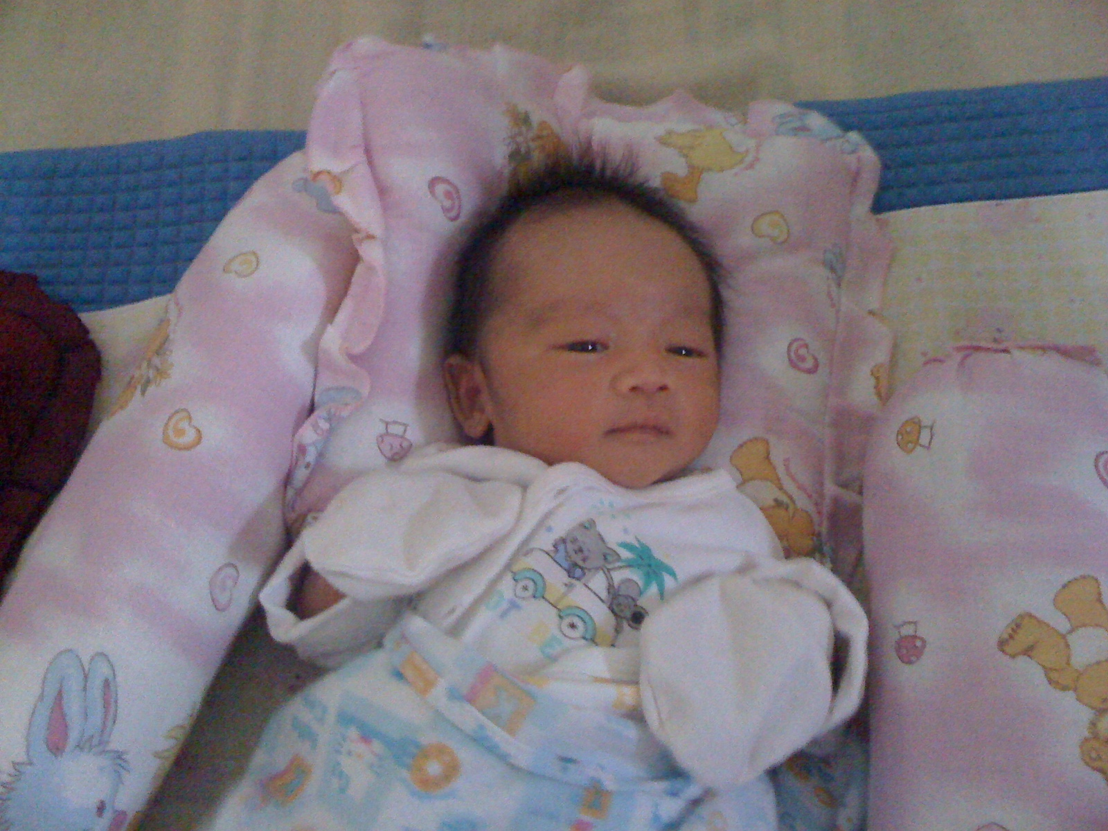 Baby Daanish Is In The House Dunia Kecil